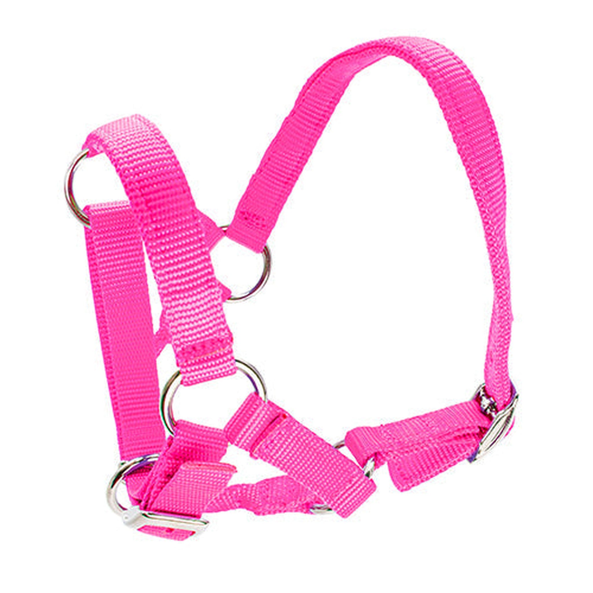 Halter for Alpacas Animal Accessories Bainbridge Pty Ltd Pink