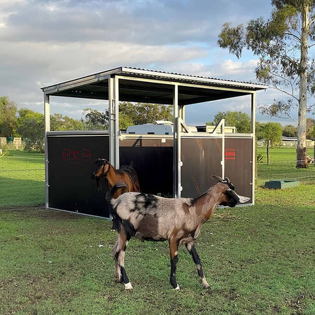 Horse Shelter - The Shetland Animal Accessories Beef Boss