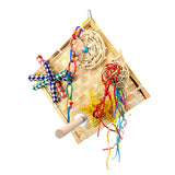 Bird Net Destructive Wall - Fiesta with Perch Animal Accessories Bainbridge Pty Ltd Default Title