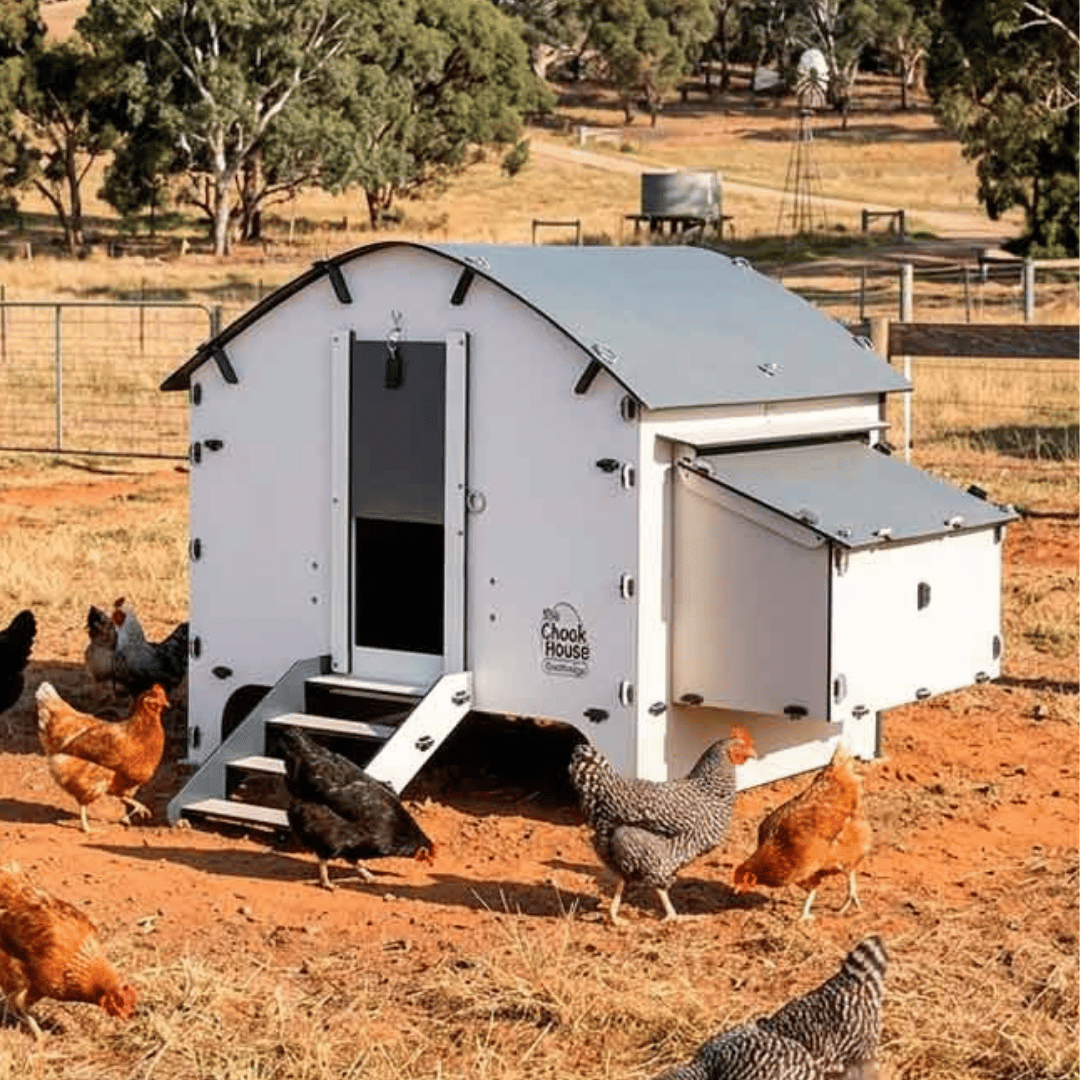 White chicken coop