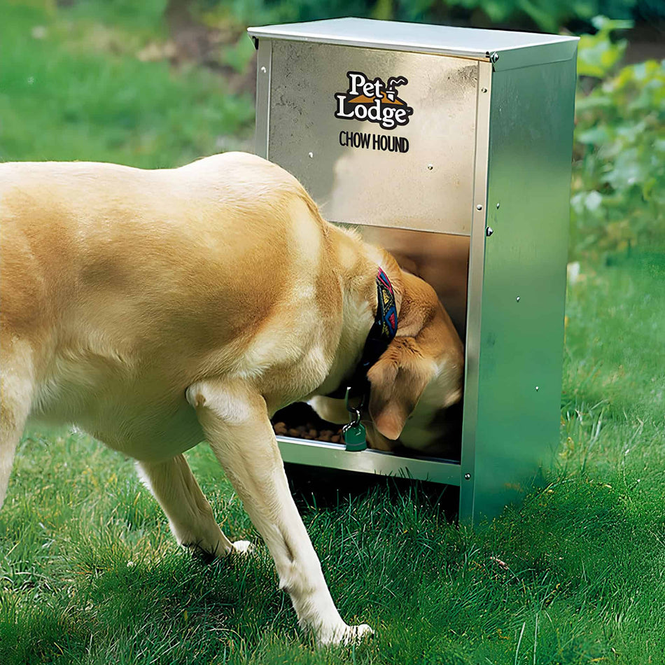 Dog Feeder Chow Hound 11kg Feed Shoof