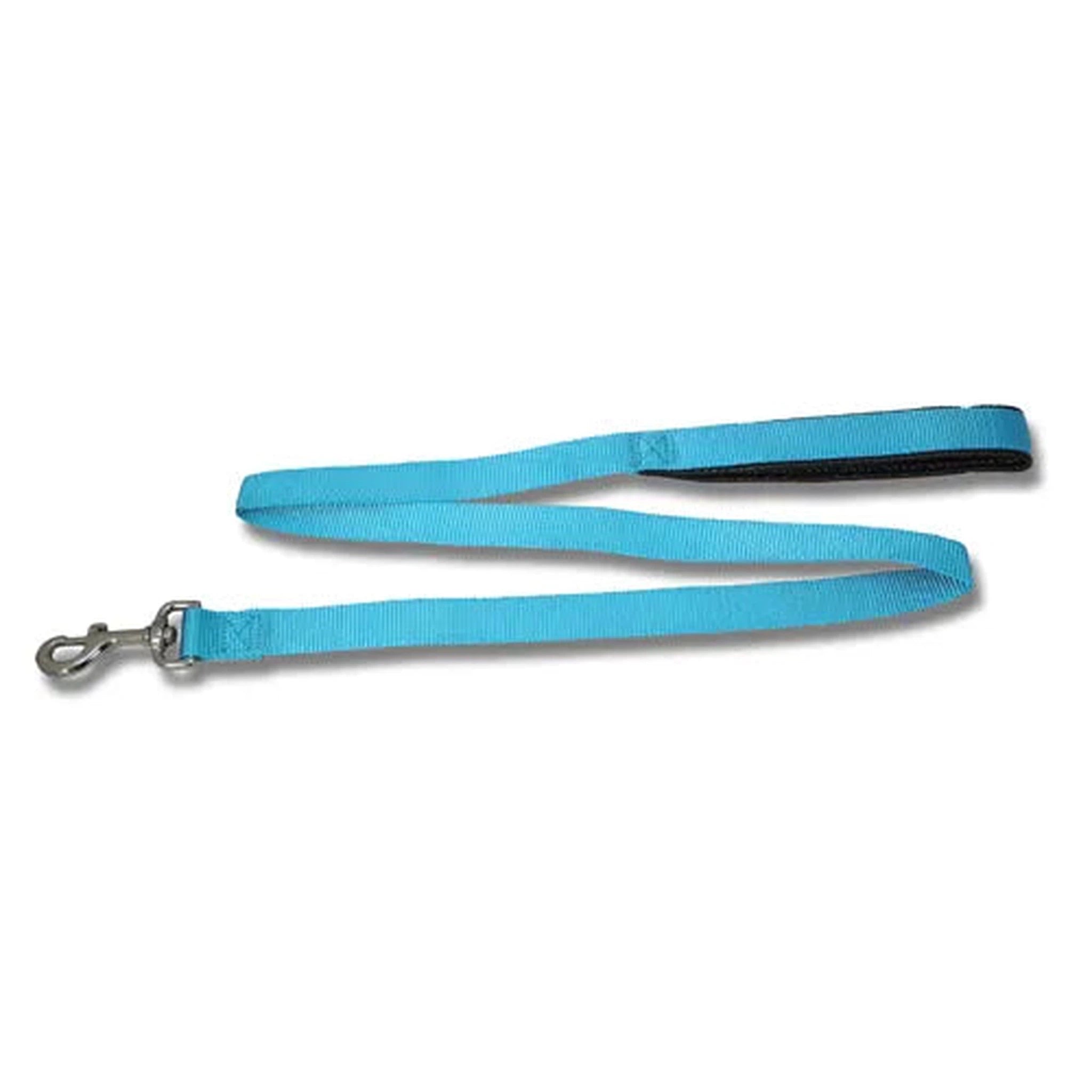 Dog Lead  Webbed with Padded Handle Animal Accessories Bainbridge Aqua  