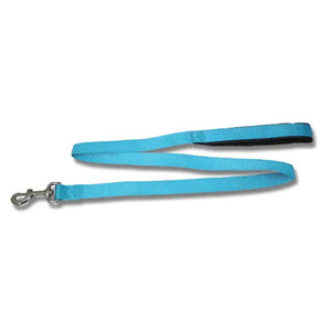 Dog Lead  Webbed with Padded Handle Animal Accessories Bainbridge Aqua  