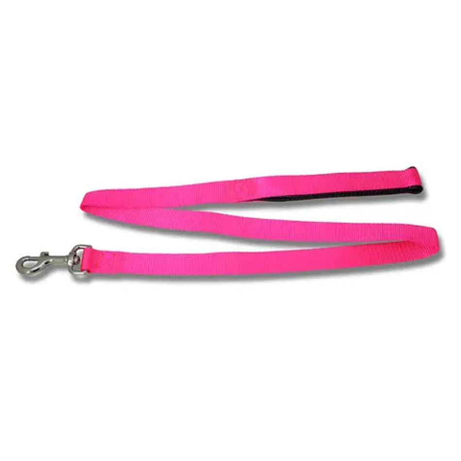 Dog Lead  Webbed with Padded Handle Animal Accessories Bainbridge   