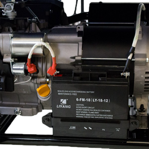 10KVA Hyundai Petrol Generator Power Genelite   