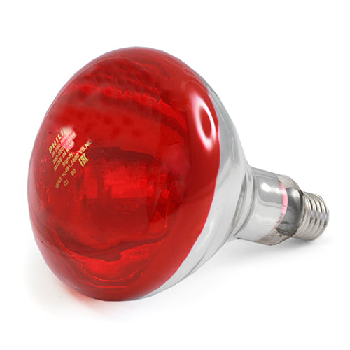 Infra Light Bulb 250w (Phillips) Animal Accessories Bainbridge red  