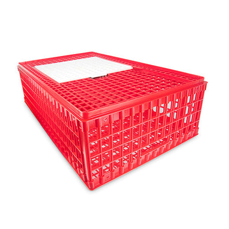 Poultry Transport Crate - Single Door Animal Accessories Bainbridge Default Title  