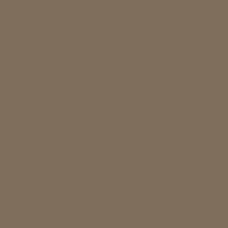 Rapid Plas Autumn Brown Colour
