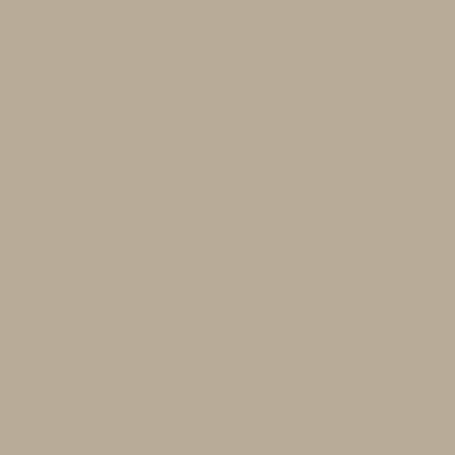 Rapid Plas Beige Colour