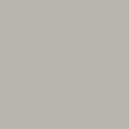 Rapid Plas Birch Grey Colour