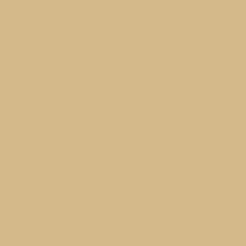 Rapid Plas Desert Haze Colour