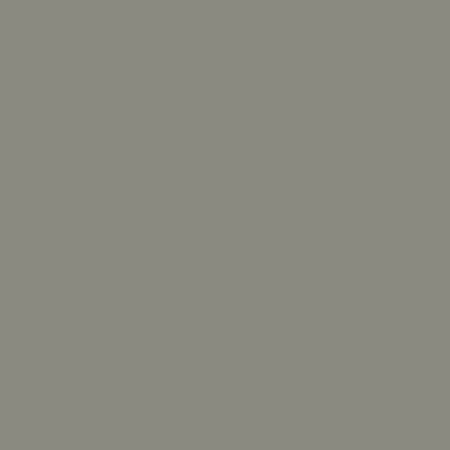 Rapid Plas Earthtone Colour