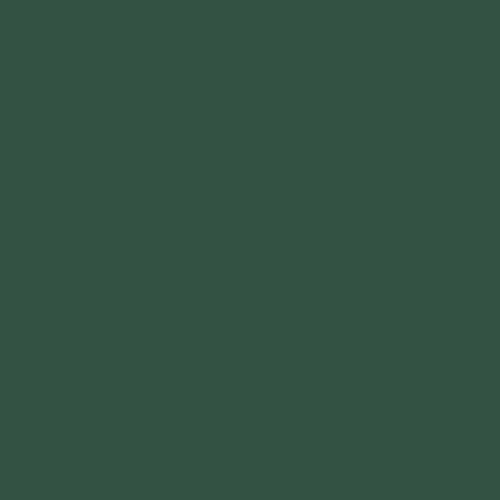 Rapid Plas Heritage Green Colour