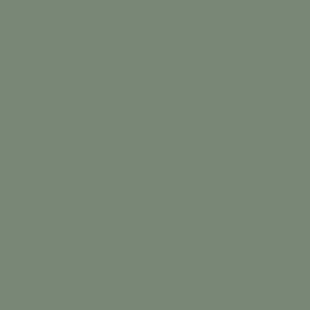 Rapid Plas Mist Green Colour