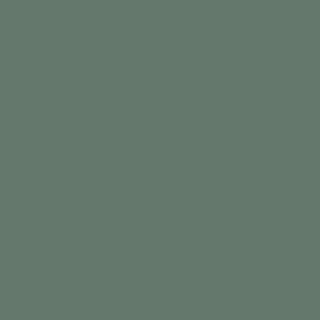 Rapid Plas Rivergum Colour