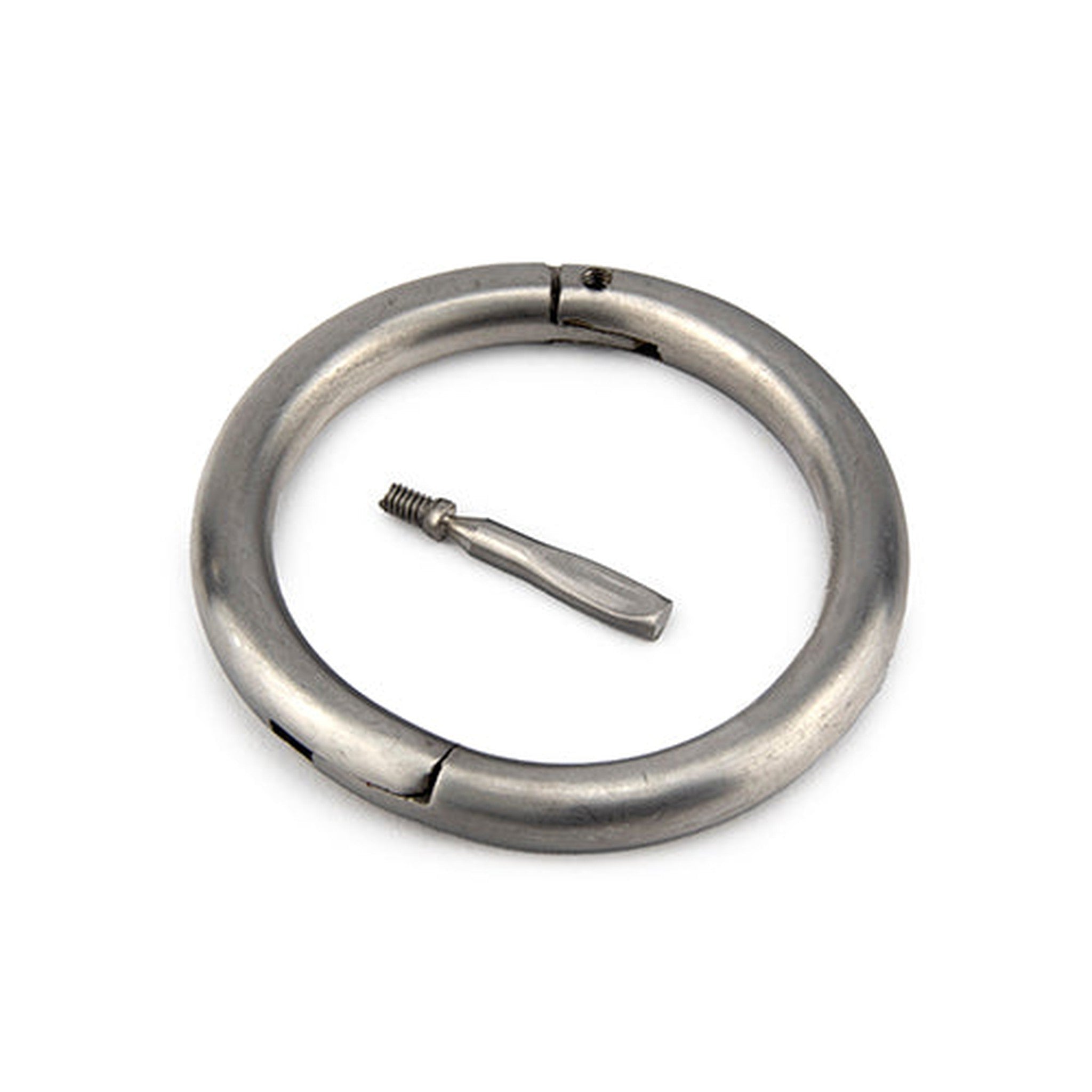 13123 - Animal Accessories - Bull Ring Stainless Steel - 2 1/2" - Austral Ag