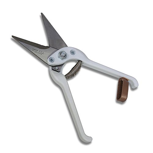 14928 - Animal Accessories - Burgon & Ball Superior Hoof Shears Serrated - Austral Ag