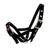 13098 - Animal Accessories - Cattle Halter Webbing Bull - Black - Austral Ag