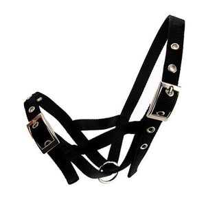 13089 - Animal Accessories - Cattle Halter Webbing Calf - Black - Austral Ag