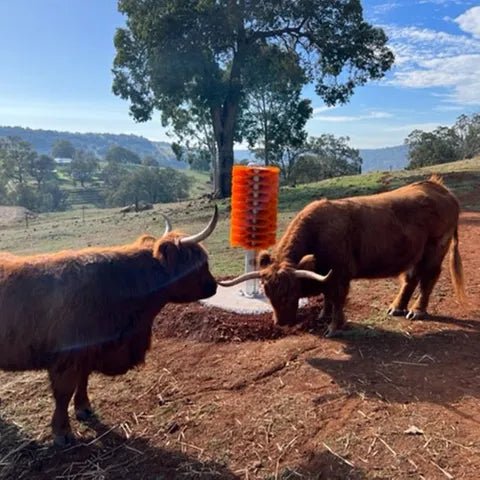 Cattle Scratch Brush Totem - Livestock - Austral Ag