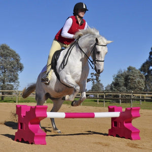 18061 - Animal Accessories - Cavaletti Jump Pole Long - Purple - 2.4m - Austral Ag