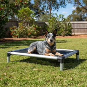 18575 - Animal Accessories - Chew Proof Dog Bed with Elevated Aluminium Frame - Large - Austral Ag