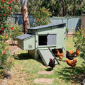 18904 - Animal Accessories - Chicken Coop with Flat Roof Elevated Plastic Chook House - Austral Ag