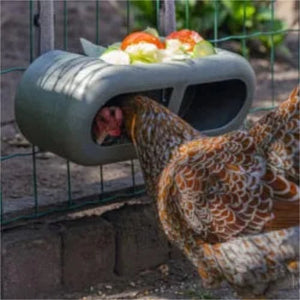 18524 - Animal Accessories - Chicken Fence Feeder - Recycled Plastic Playground Chook Toy - Austral Ag