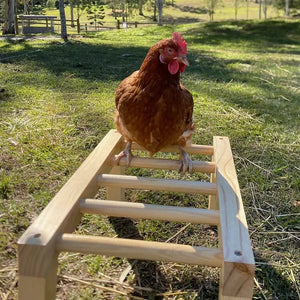 14508 - Animal Accessories - Chicken Monkey Bars - Wooden Playground Chook Toy - Austral Ag