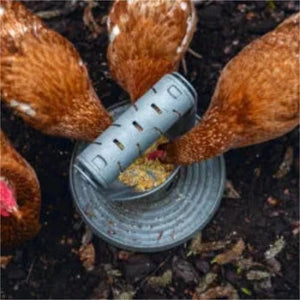 18523 - Animal Accessories - Chicken Play & Feed Tower - Recycled Plastic Playground Chook Toy - Austral Ag