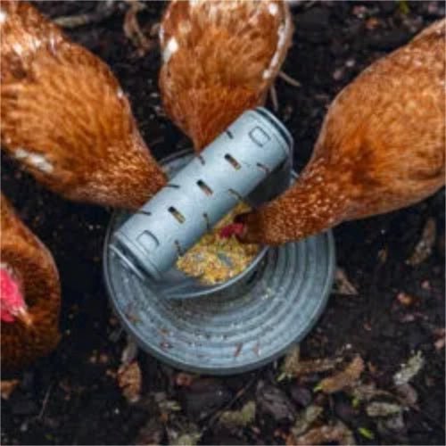 18523 - Animal Accessories - Chicken Play & Feed Tower - Recycled Plastic Playground Chook Toy - Austral Ag
