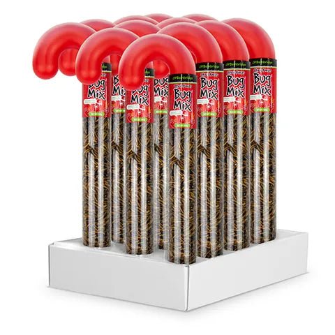 18482 - Supplementation - Chicken Treat - Christmas Cane Bug Mix - 100g - Austral Ag
