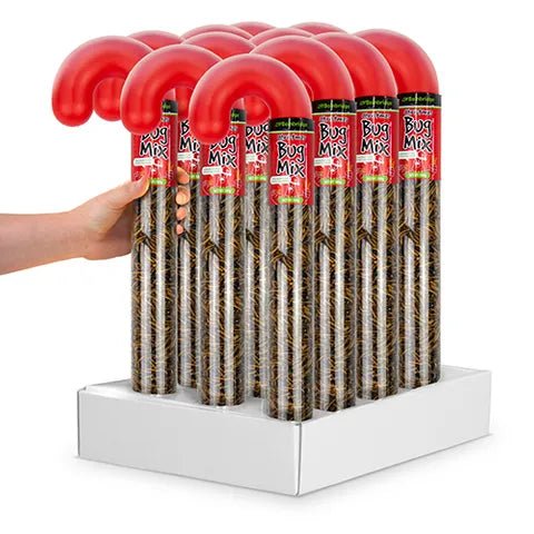 18482 - Supplementation - Chicken Treat - Christmas Cane Bug Mix - 100g - Austral Ag