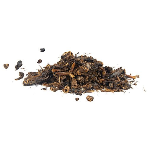18578 - Supplementation - Chicken Treat Dried Crickets - 100g - Austral Ag