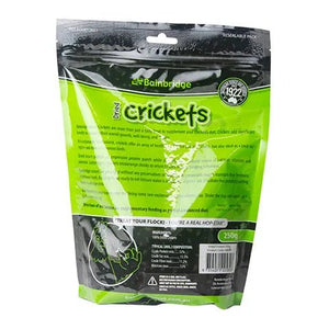 18579 - Supplementation - Chicken Treat Dried Crickets - 250g - Austral Ag