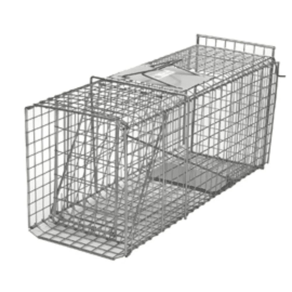 18254 - Hardware - Collapsible Animal Trap cm - 66 x 30 x 23 - Austral Ag