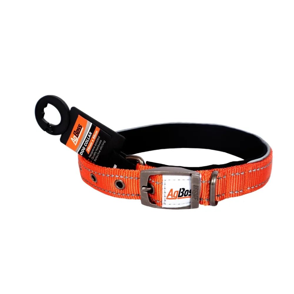 18275 - Animal Accessories - Dog Collar - Orange - 22" - Austral Ag
