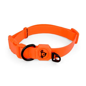 14226 - Animal Accessories - Dog Collar Waterproof - Orange - Small - Austral Ag