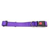 14135 - Animal Accessories - Dog Collar Webbing Reflective Strips - Purple - 20 - 35cm - Austral Ag
