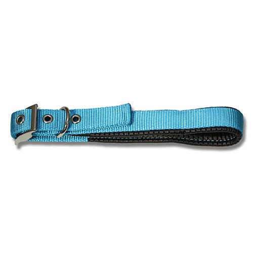 13934 - Animal Accessories - Dog Collar with Padding & Nylon Webbing - Aqua - 60cm - Austral Ag