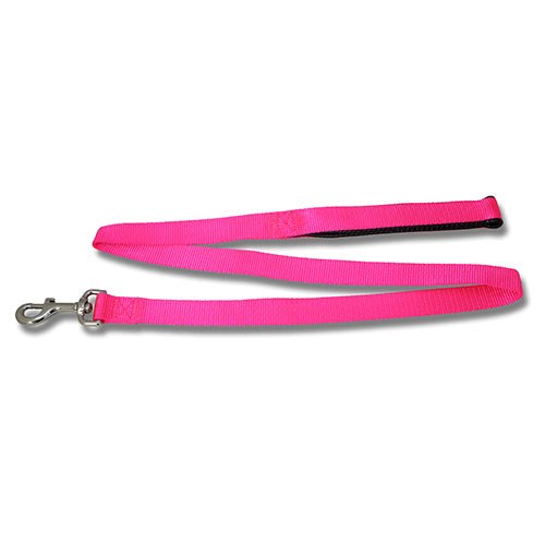 Dog Lead Webbed with Padded Handle - Animal Accessories - Austral Ag