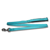 14189 - Animal Accessories - Dog Lead Webbing Reflective Strips - Aqua - 120cm x 15mm - Austral Ag