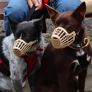 14307 - Animal Accessories - Dog Muzzle Plastic - Size 2 - Austral Ag
