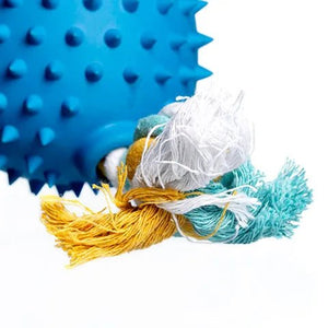 Dog Toy - Treat - A - Saurus - Truddi the Triceratops - Animal Accessories - Austral Ag