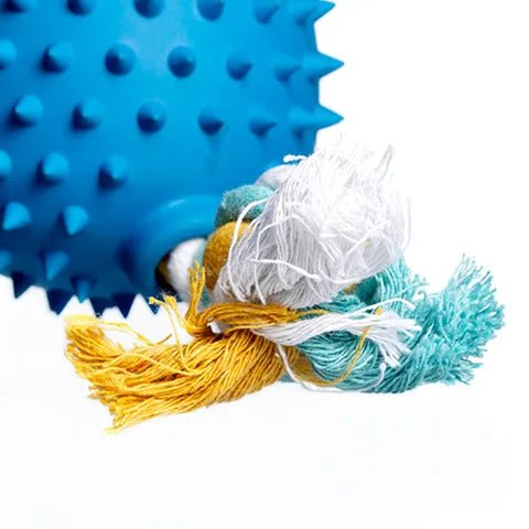 Dog Toy - Treat - A - Saurus - Truddi the Triceratops - Animal Accessories - Austral Ag