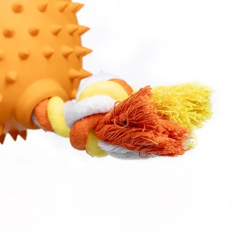 Dog Toy - Treat - A - Saurus - Vikki The Veloceraptor - Animal Accessories - Austral Ag