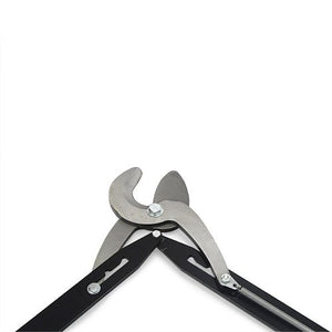 12943 - Livestock - Dominion Horn Tipper Size 3 - Austral Ag