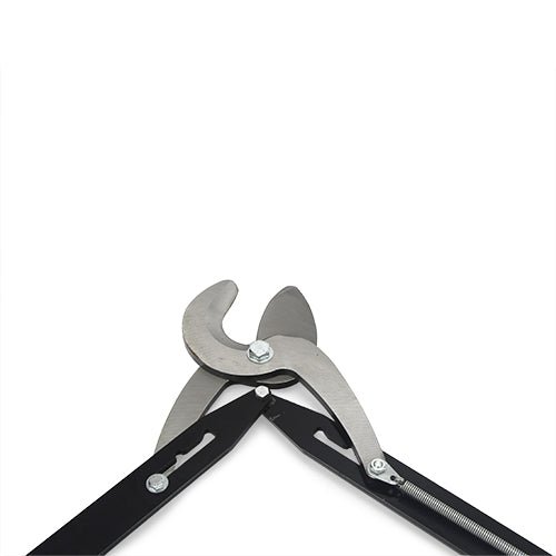 12943 - Livestock - Dominion Horn Tipper Size 3 - Austral Ag