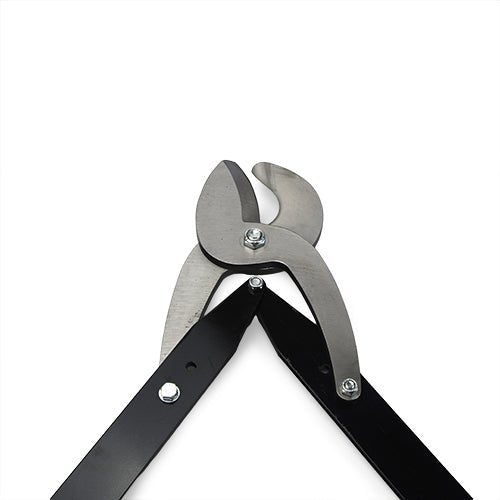12944 - Livestock - Dominion Horn Tipper Size 4 - Austral Ag