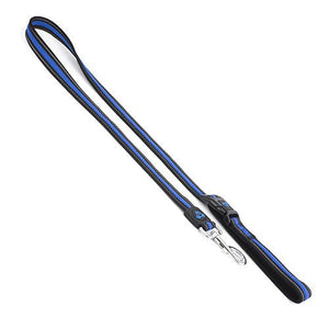 14220 - Animal Accessories - Double Layer Reflective Mesh Cafe Lead - Blue - 2.5cm x 120cm - Austral Ag
